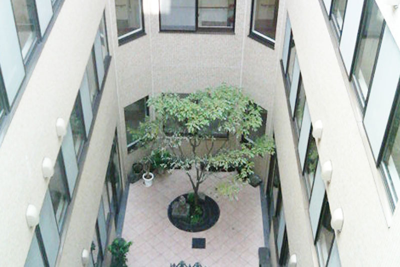 「ハーモニー四季」の自慢です。